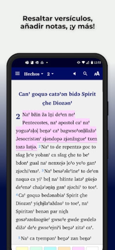 VivaCut