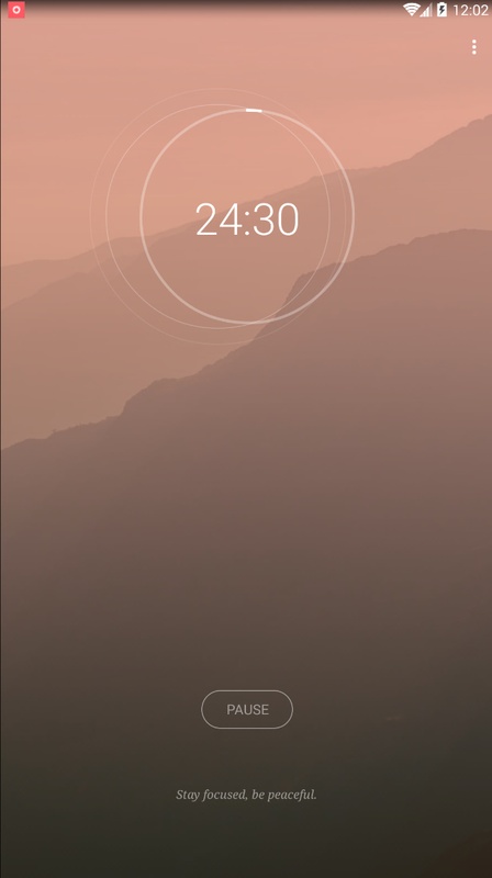 VivaCut