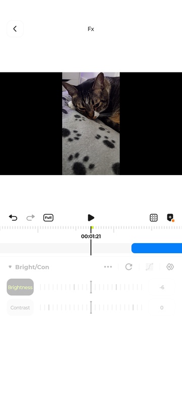 VivaCut